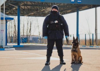 Situația la frontieră în ultimele 24 de ore