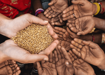 Pandemia „obosește” populația lumii și riscă să declanşeze o criză alimentară globală | VIDEO