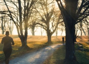 Vremea se încălzeşte în următoarele zile