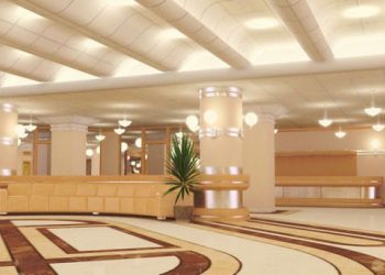 Florile de la Președinție nimeni nu le-a anulat: A fost lansată o nouă licitație în valoare de peste 230 mii de lei | VIDEO