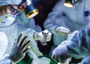 COVID-19: Alte 363 de cazuri noi, zece persoane s-au stins din viață. Printre cei decedați sunt și trei lucrători medicali | VIDEO