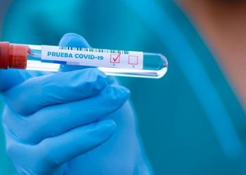 COVID-19: 13 случаев смерти зарегистрировано за последние 24 часа