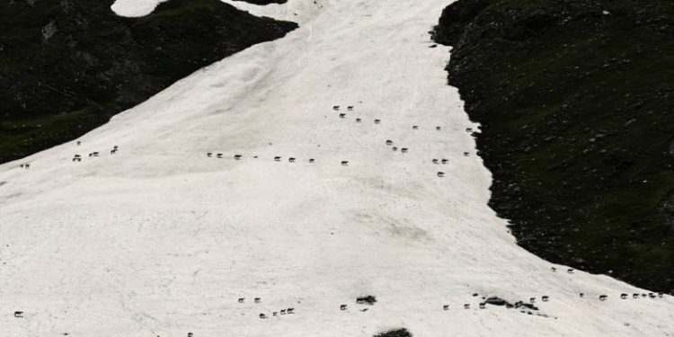 В Индии после схода ледника пропали 150 человек