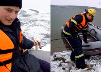 Intervenție neobișnuită pe râul Prut. Cum a fost salvată o lebădă blocată în apele înghețate | VIDEO