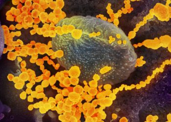 România: 2.830 de noi cazuri de COVID-19 în ultimele 24 de ore