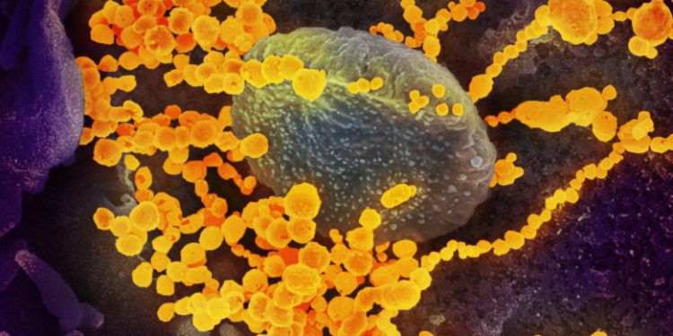 România: 2.830 de noi cazuri de COVID-19 în ultimele 24 de ore