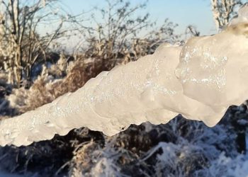 Zeci de localități din țară, fără curent electric. Chiciura a cauzat numeroase rupturi de conductoare