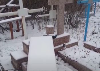 Morminte şi cruci, vandalizate la Cărpineni. Primăria oferă recompensă pentru informații despre făptași | VIDEO