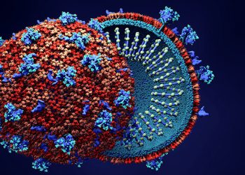 ВОЗ не нашла источник коронавируса в Ухане