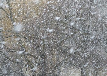 Вниманию водителей: Из-за усилившегося снегопада видимость на севере страны ограничена