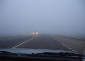 Водителей предупреждают об опасности на дорогах в связи с туманом