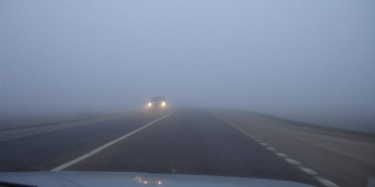 Водителей предупреждают об опасности на дорогах в связи с туманом
