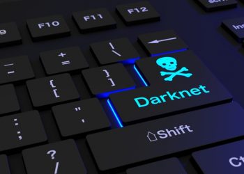Ofițerii INI au ajutat olandezii să dea peste cap o „afacere” cu droguri prin Darknet