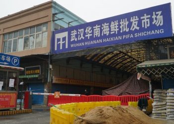 В ВОЗ допустили, что рынок в Ухане не был источником коронавируса