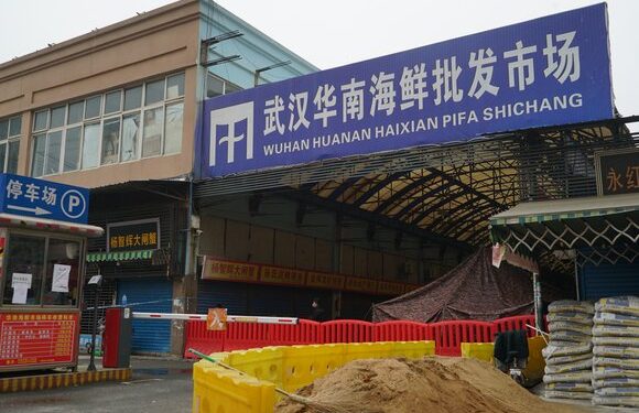 В ВОЗ допустили, что рынок в Ухане не был источником коронавируса