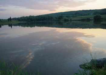 «Ei acum luptă pentru electorat, iar noi am fost prinși în capcană». Piscicultorii cer ajutor în salvarea acestui sector | VIDEO