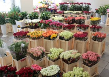 Налоговая проверит деятельность торговцев цветами