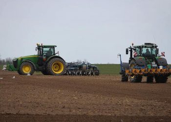 Înghețurile au compromis culturile de toamnă. Agricultorii ar putea fi nevoiți să-și reînsămânțeze terenurile | VIDEO