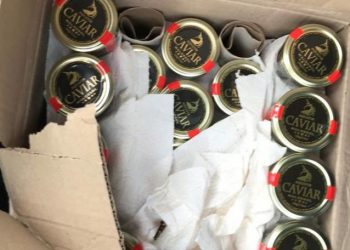 Transporta în mașină 20 de kilograme de caviar: Șoferul nu a putut prezenta actele de proveniență | VIDEO