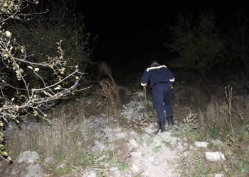 Avea un iubit și cine știe ce a vorbit: Detalii despre cazul adolescentei din Fălești găsite strangulată într-o pădurice | VIDEO