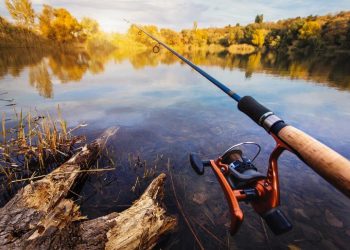 С апреля по июнь будет запрещена ловля рыбы