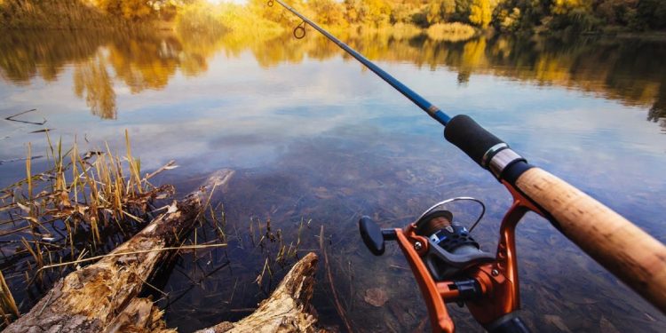 С апреля по июнь будет запрещена ловля рыбы