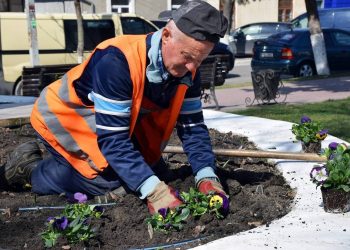 Orașul Orhei păstrează statutul de cel mai frumos oraș din Moldova: mii de flori au fost plantate de municipalitate | VIDEO