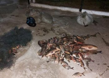 Două persoane, printre care un minor, depistate cu plasele pline cu pește