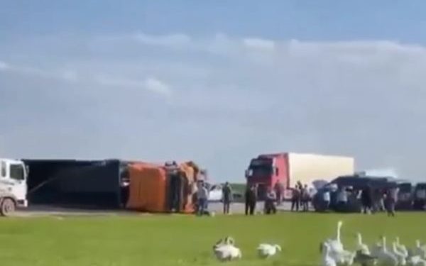 Члены детской баскетбольной команды погибли в Ставрополье в страшной  аварии