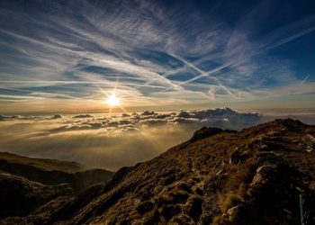 На Земле осталось 2-3% суши, не затронутой человеком