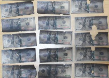 Doi minori, bănuiți că au furat 8.000 de dolari și i-au ascuns în sobă. O parte din bani au ars | FOTO