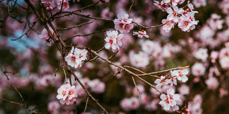 Meteo 13 aprilie 2021: Vremea se răcește treptat