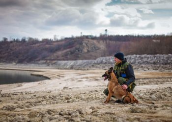 Aproape 12.000 de persoane au traversat frontiera de stat în ultimele 24 de ore. Ce ilegalități au depistat polițiștii de frontieră