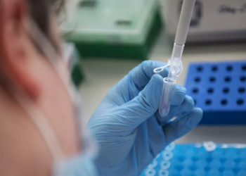 Раскрыта опасность бразильского штамма коронавируса