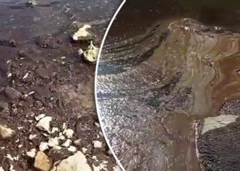 Catastrofă chimică, provocată în nordul Moldovei: Substanțe suspecte | VIDEO