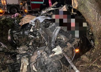 Accident teribil la Nisporeni. Doi minori de 16 ani au murit după ce BMW-ul în care se aflau a ajuns într-un copac | FOTO