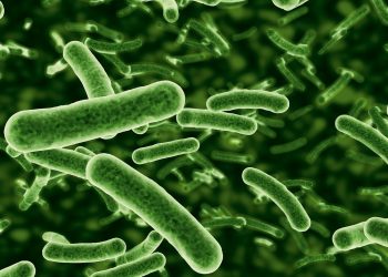Semnal de alarmă al OMS. Superbacteriile ar putea ucide milioane de oameni până în 2050