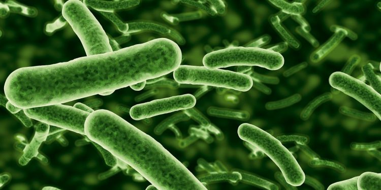 Semnal de alarmă al OMS. Superbacteriile ar putea ucide milioane de oameni până în 2050