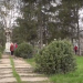 Campania națională de curățenie, inițiată de PP „ȘOR”, continuă: Zeci de oameni au făcut ordine în satul Văsieni, raionul Telenești | VIDEO