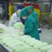 Prima gumă de mestecat din Moldova este produsă de către deținutele de la Rusca | VIDEO