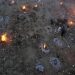 Sistemul sanitar din India este depășit. Corpurile oamenilor care au murit de COVID sunt incinerate în masă | FOTO