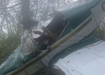 Imagini cu momentul în care avionul de mici dimensiuni se prăbușește și cade în pădure, la Vadul lui Vodă | VIDEO