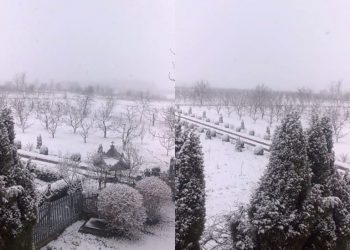 „Acuși scoatem sania”. La mijloc de primăvară, fulguiește ca-n povești în mai multe raioane ale țării | VIDEO