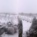 „Acuși scoatem sania”. La mijloc de primăvară, fulguiește ca-n povești în mai multe raioane ale țării | VIDEO