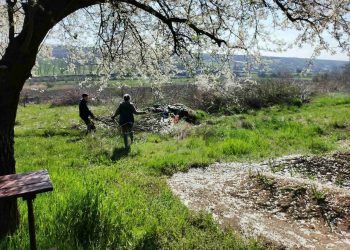 Locuitorii din localitățile Doina și Bucuria din raionul Cahul sau alăturat campaniei naționale de curățenie „E timpul să facem ordine în țară!”, inițiată de Partidul „ȘOR” | VIDEO