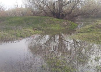 Inundații în satul Răscăieți din raionul Ștefan Vodă: Nistru s-a revărsat din cauza intervenției localnicilor | VIDEO