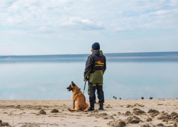 Crește fluxul de persoane la frontiera de stat. 15.305 traversări în doar 24 de ore