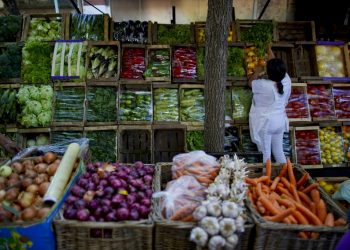 Parlamentul a votat o lege în susținerea producătoriilor din R. Moldova