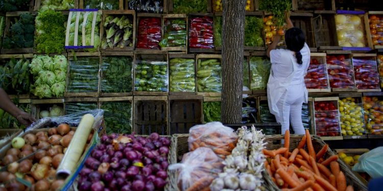 Parlamentul a votat o lege în susținerea producătoriilor din R. Moldova