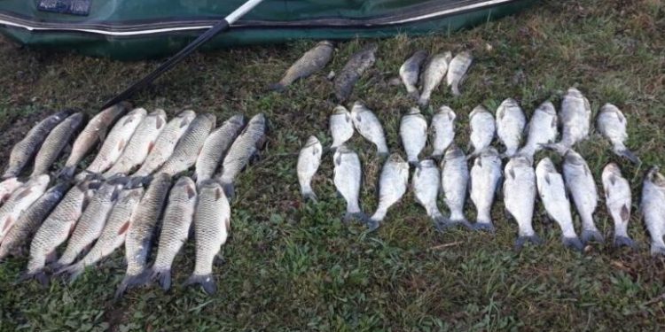 Doi bărbați, surprinși la pescuit ilegal în apele de frontieră